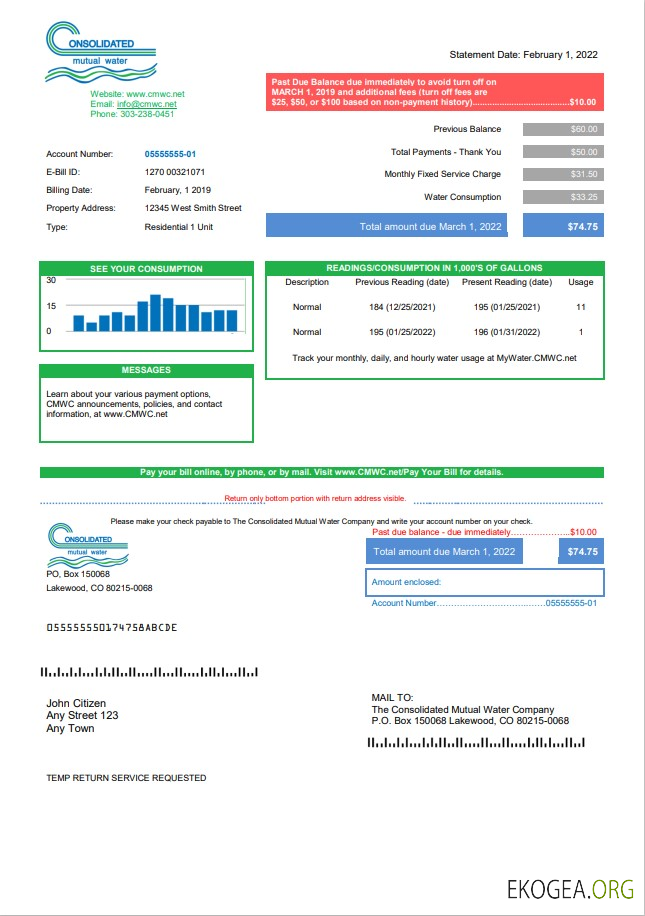 USA Consolidated Mutual Water utility bill template in Word and PDF format